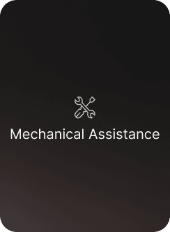 Mechanical Assistance